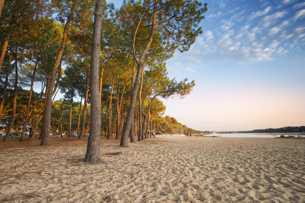 photo des landes